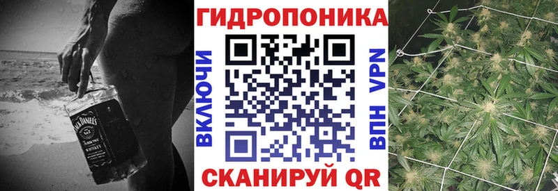 blacksprut онион  продажа наркотиков  Волосово  Шишки марихуана план 